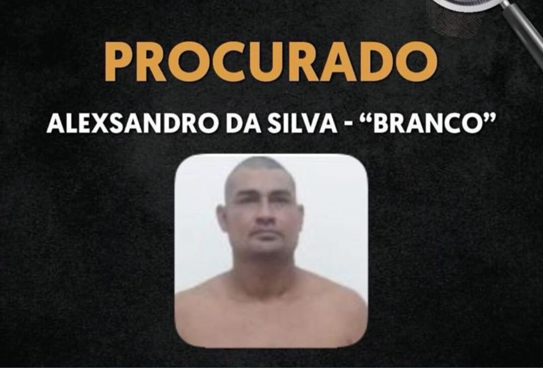 Imagem principal